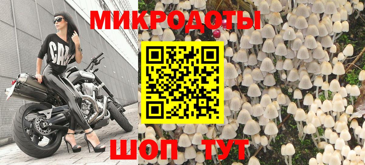 Псилоцибиновые грибы GOLDEN TEACHER Горячий Ключ